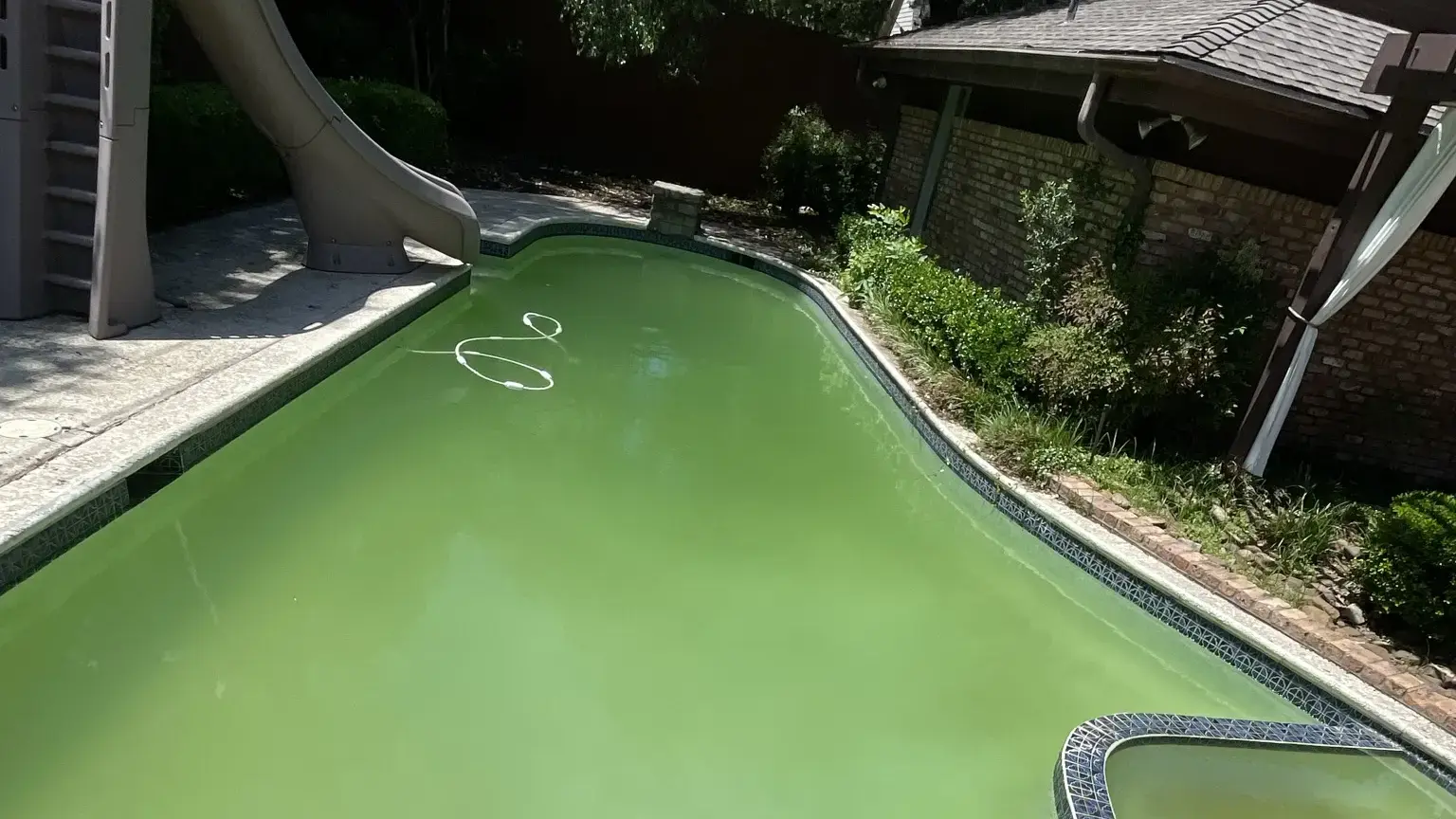 A large green pool with a curved slide at one end, the water opaque enough to hide the bottom.