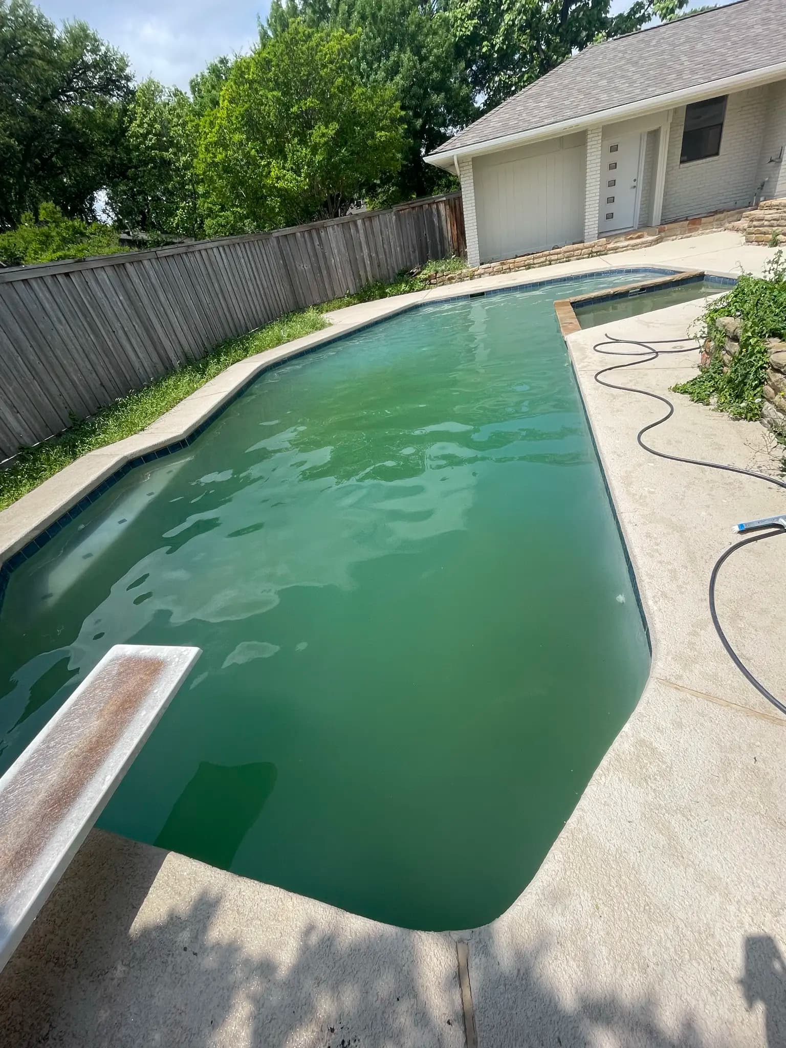 A dark green neglected pool with a diving board behind a suburban house, with a garden hose coiled on the deck.
