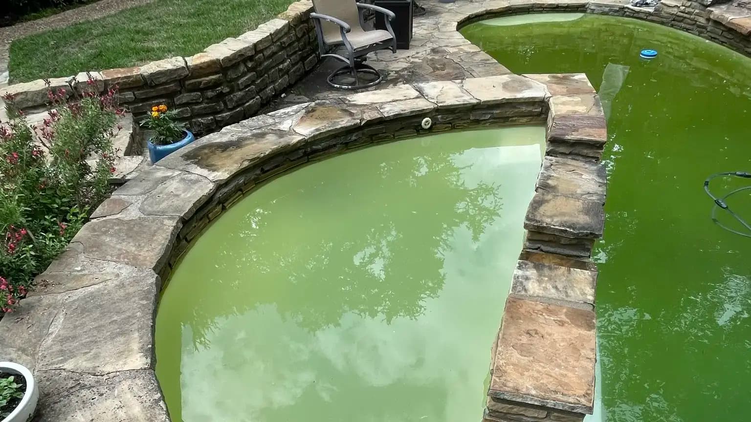 A neglected green pool with a raised stone spa and flagstone coping before seasonal cleanup.