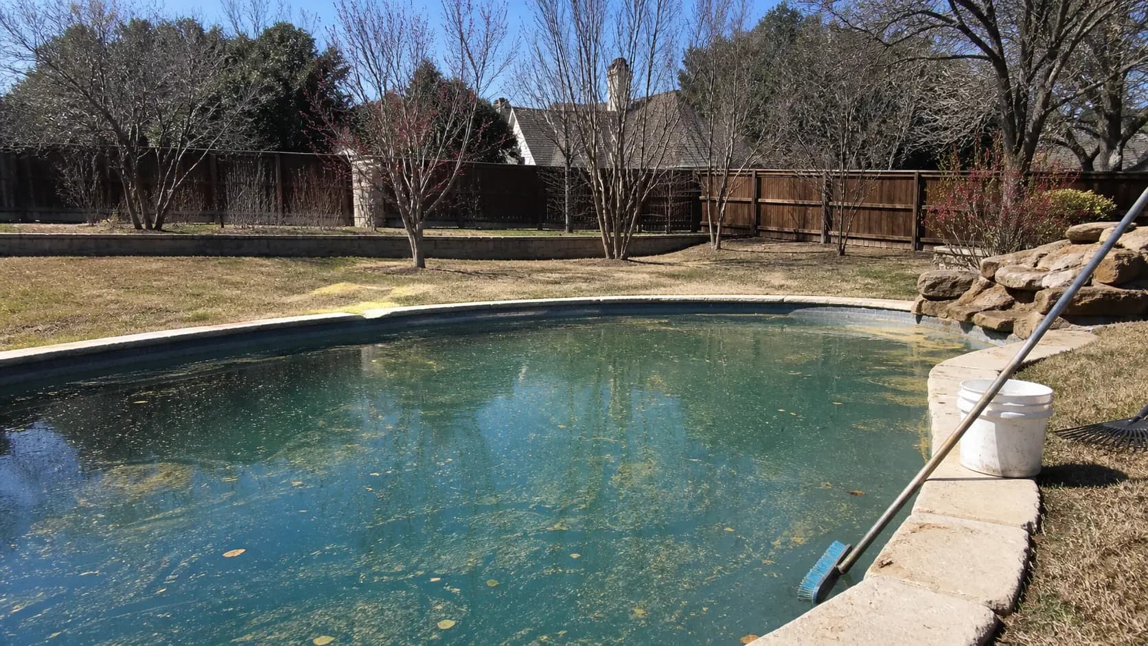 A pole brush and leaf rake lean on the coping of a North Texas pool with pollen film and winter leaves floating on the water, budding trees behind.