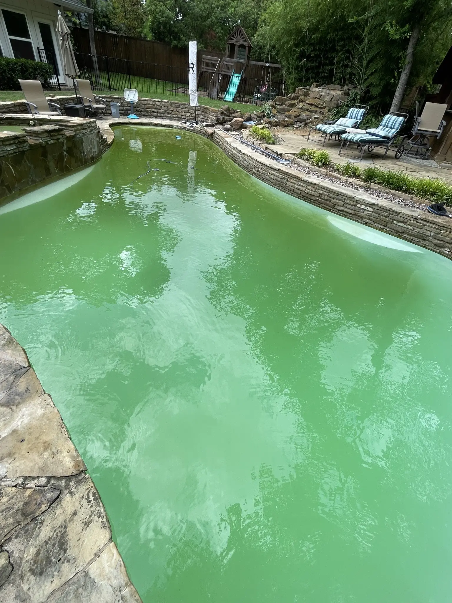 Freeform backyard pool full of opaque green algae water, seen from the far corner