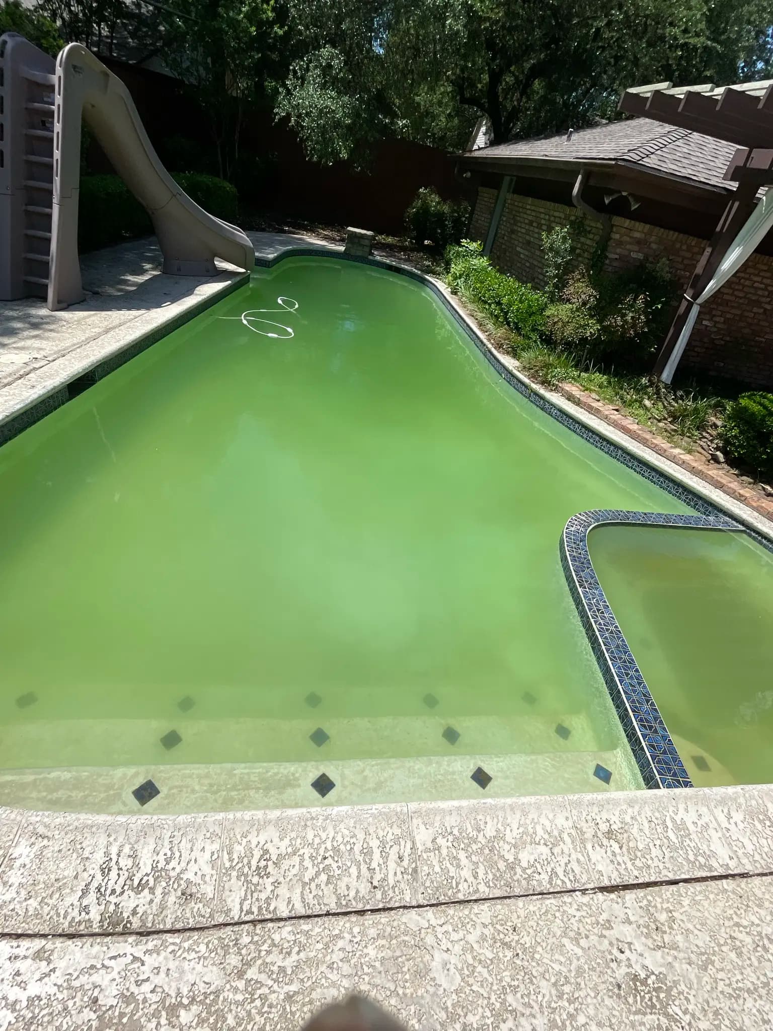 Pool with a slide and a spa, water bright green over a tiled floor pattern